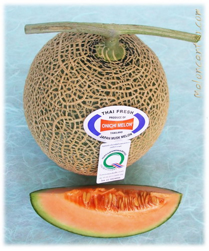 Onichi
